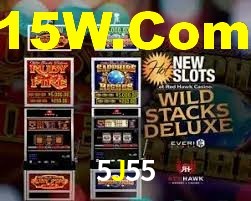 Exclusive Games 5J55